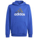 Adidas Παιδικό φούτερ Essentials U Big Logo Cotton Hoodie
